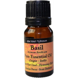 Essential Oil Basil Essential Oil Basil